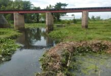 আদমদীঘিতে বর্জ্য পরিশোধনাগার ছাড়াই চালকল, দূষিত খাল-ফসলি জমি!
